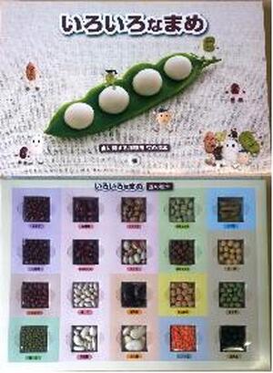 いろいろなまめ