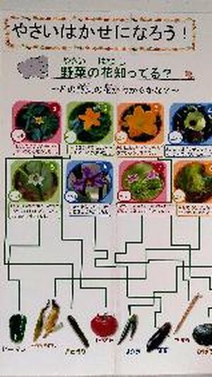 やさいはかせになろう　野菜の花知ってる？
