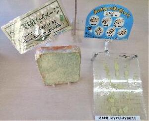 手のひら細菌培養イメージモデル