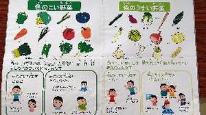 やさいはかせになろう　色の濃い薄い野菜